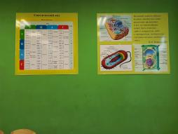 кабинет биологии